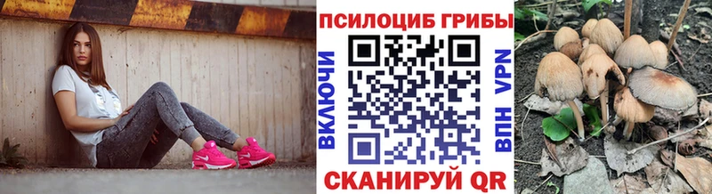 Купить  Зерноград  Псилоцибиновые грибы ЛСД 